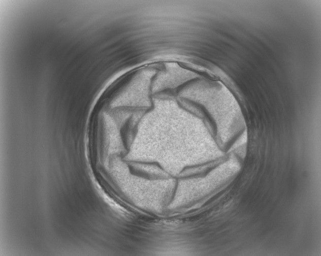 X0000063530955200602172239