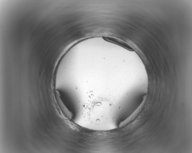 X0000063530956200602172239