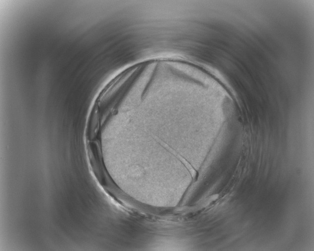 X0000063530959200602172239