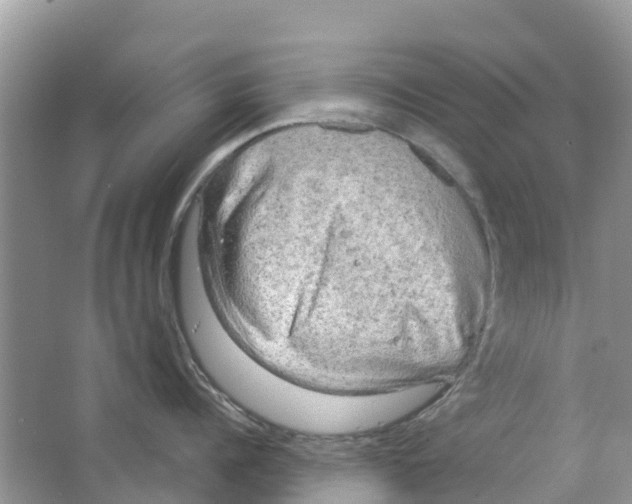 X0000063530960200602172239