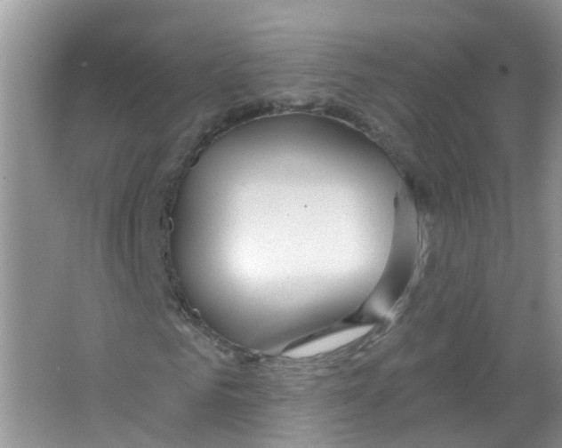 X0000063530961200602172238