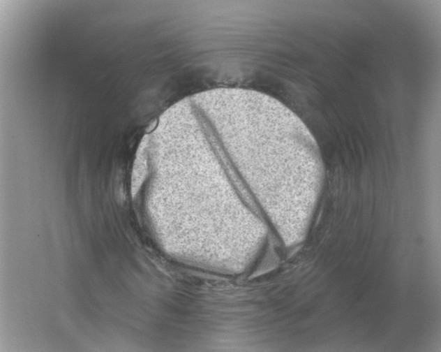 X0000063530962200602172238