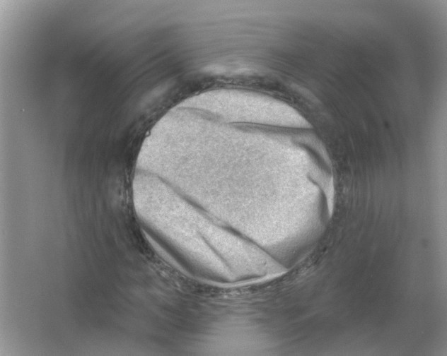 X0000063530966200602172238