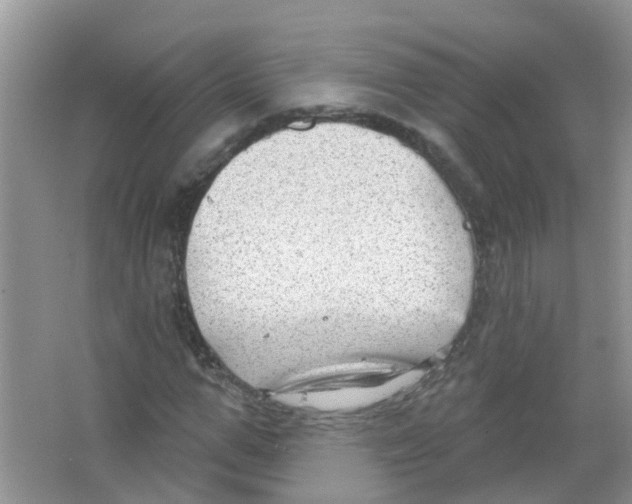 X0000063530967200602172238