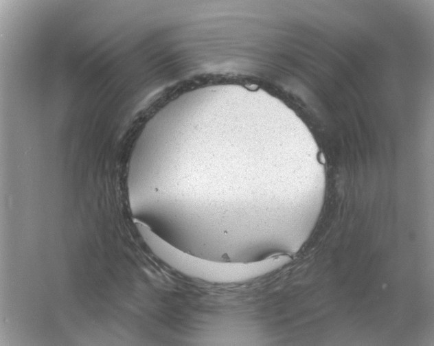 X0000063530968200602172238