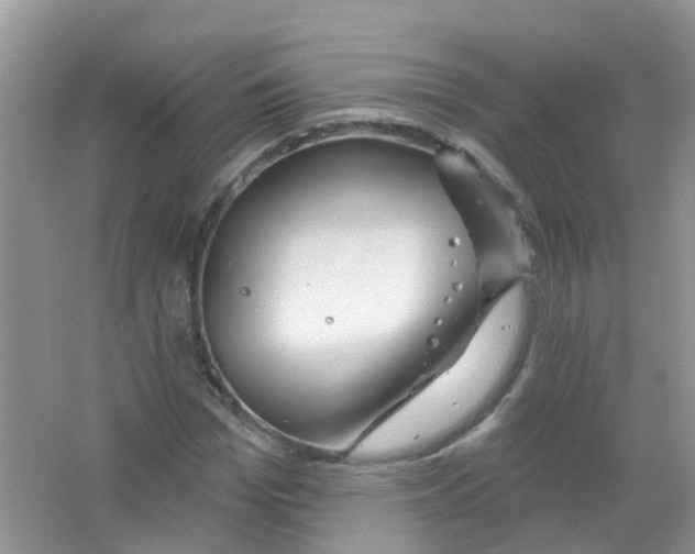 X0000063530969200602172238