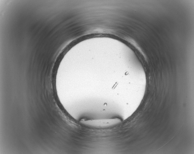 X0000063530972200602172238