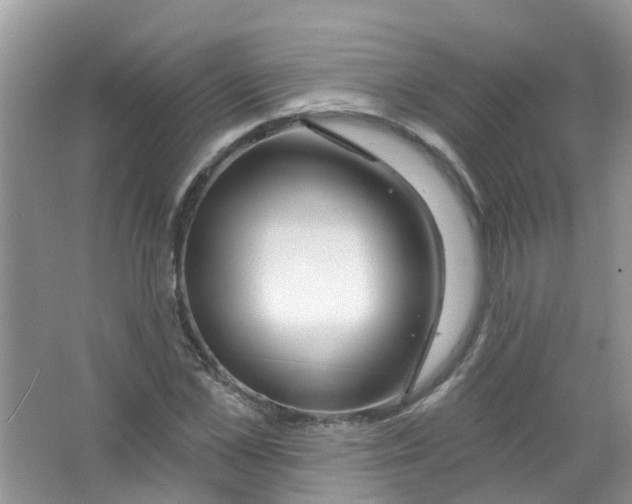 X0000063530973200602172238