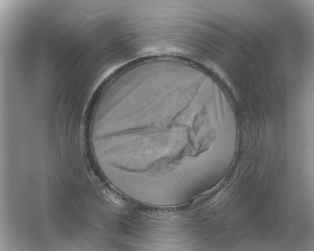 X0000063530975200602172238