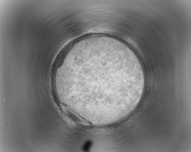 X0000063530976200602172238