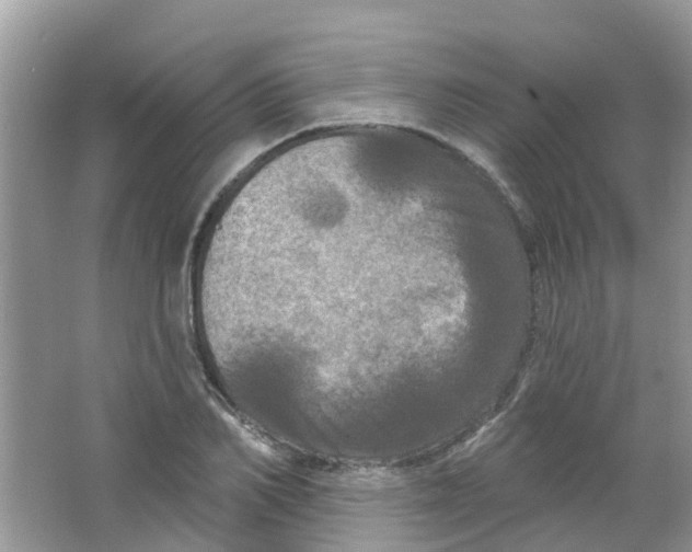 X0000063530982200602172238