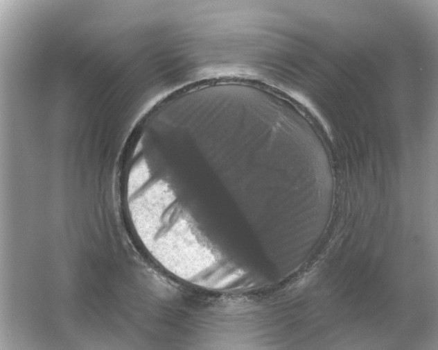 X0000063530983200602172238