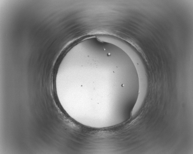 X0000063530984200602172238