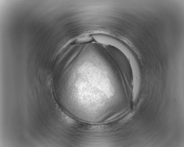 X0000063530985200602172238