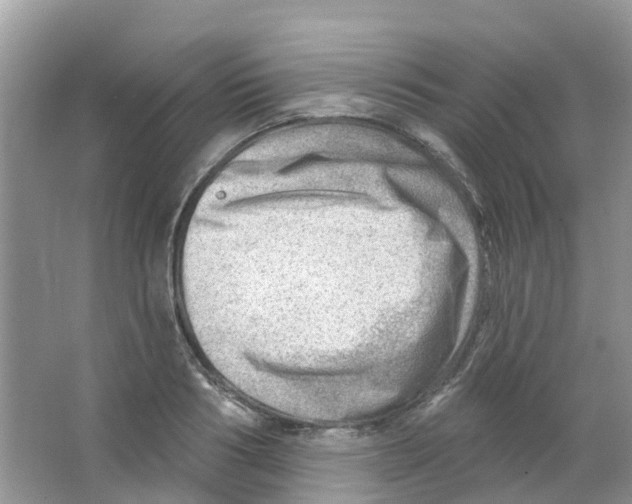 X0000063530986200602172238