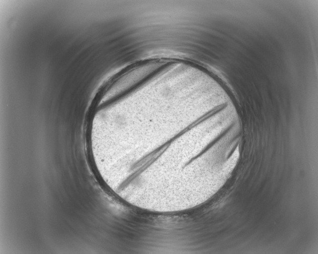 X0000063530987200602172238