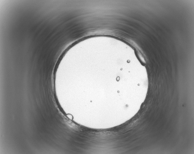 X0000063530988200602172238