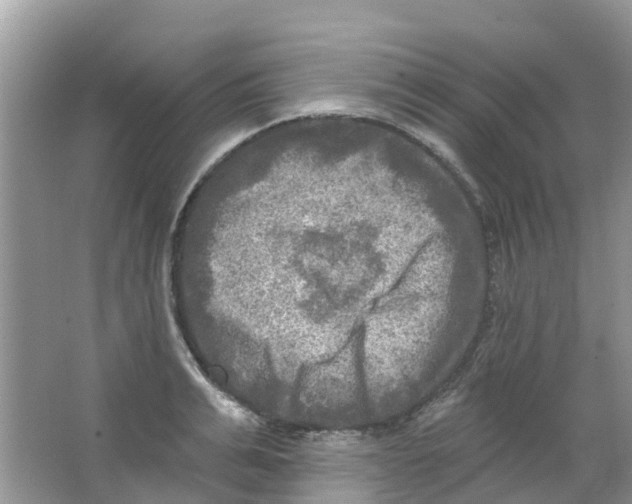 X0000063530991200602172238