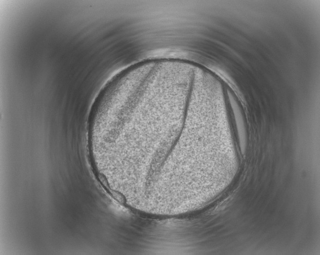 X0000063530992200602172238