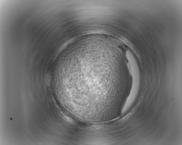 X0000063530993200602172238