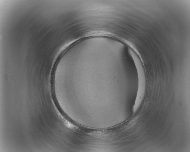 X0000063530995200602172238