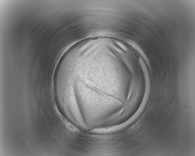 X0000063530996200602172238