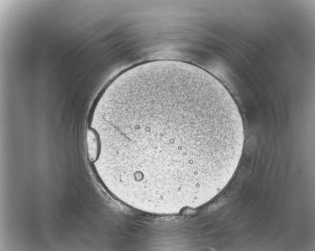 X0000063531000200602172237