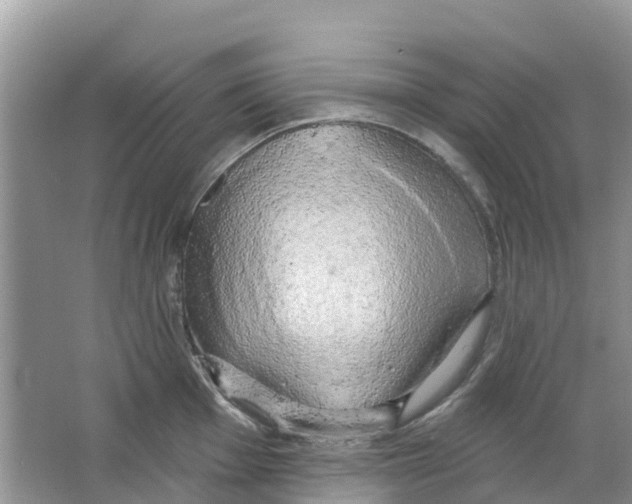 X0000063531001200602172237