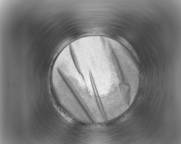 X0000063531002200602172237