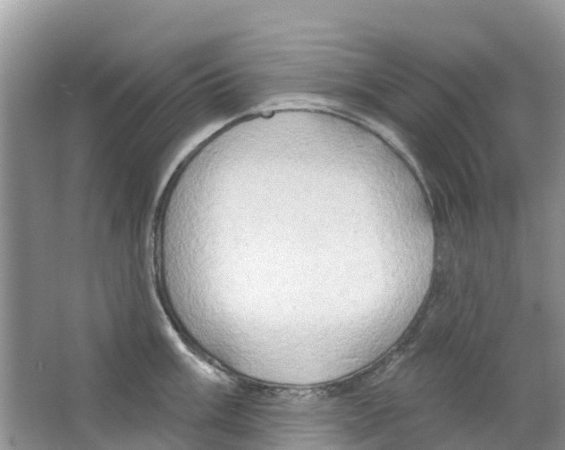 X0000063531003200602172237