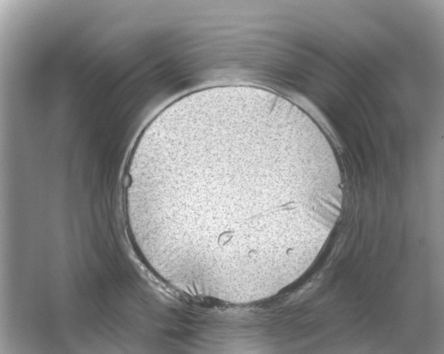 X0000063531004200602172237