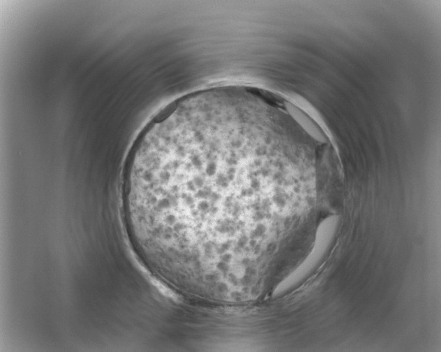 X0000063531005200602172237