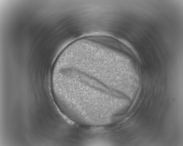 X0000063531006200602172237