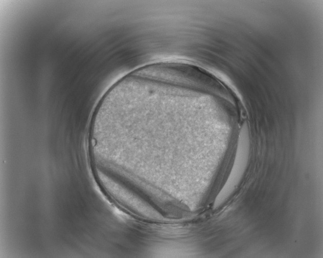 X0000063531007200602172237