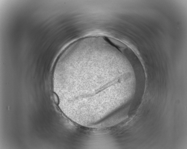 X0000063531008200602172237