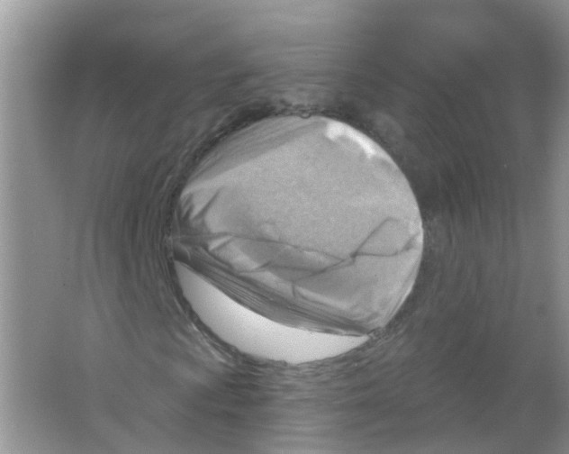 X0000063531009200602172236