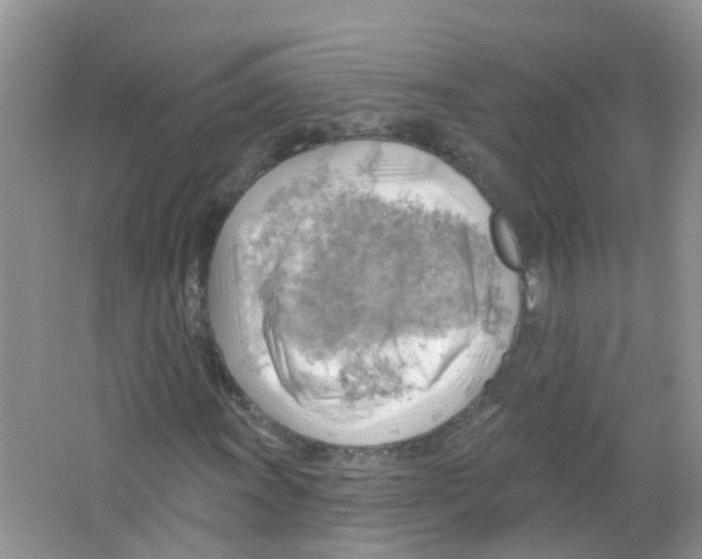 X0000063531011200602172237