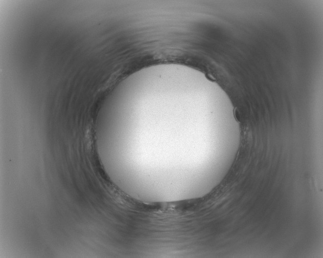 X0000063531012200602172237