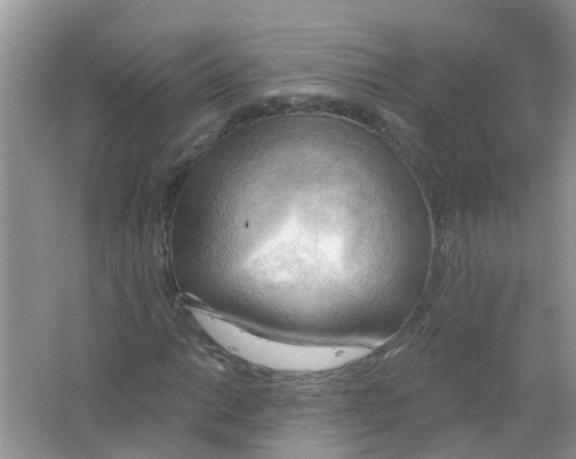 X0000063531014200602172237