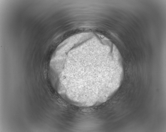 X0000063531015200602172237