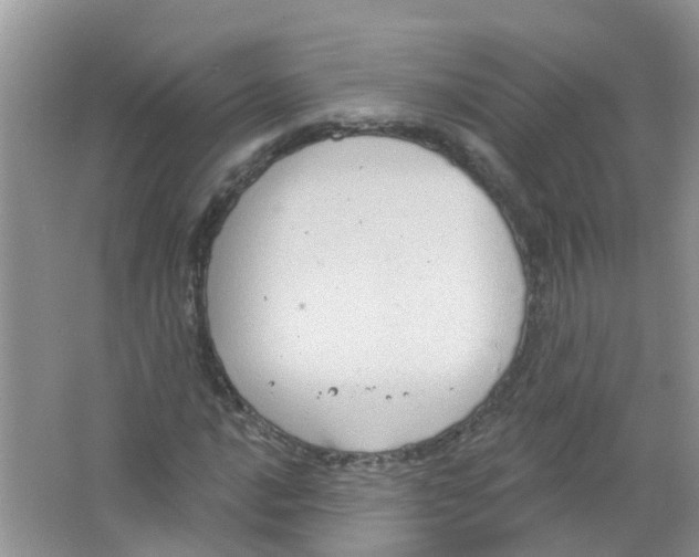 X0000063531016200602172237