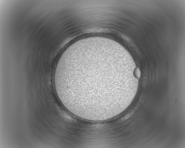 X0000063531017200602172237