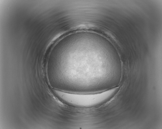 X0000063531018200602172237