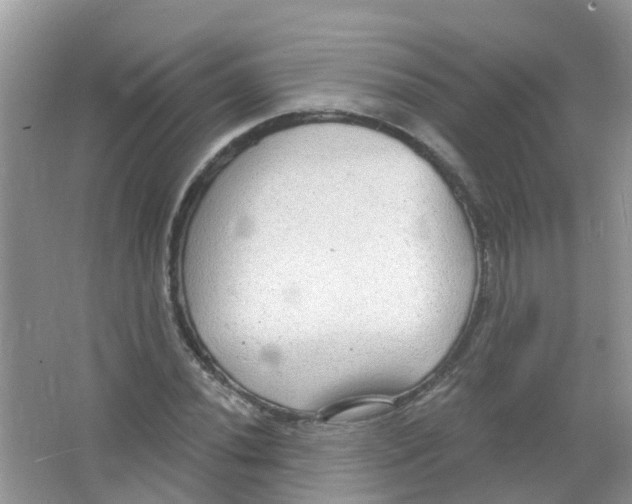 X0000063531020200602172237