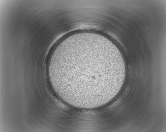 X0000063531021200602172237