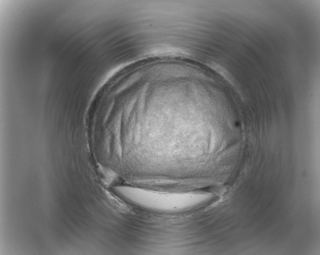 X0000063531022200602172237