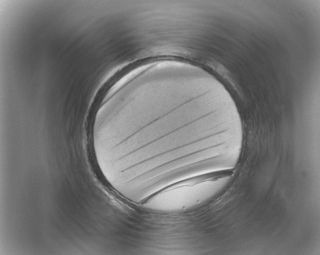 X0000063531024200602172237