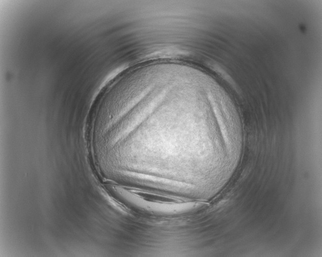 X0000063531026200602172237