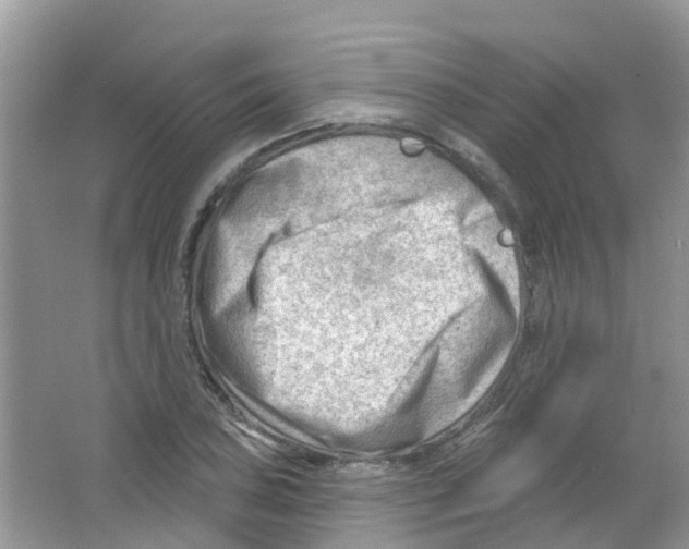 X0000063531027200602172237