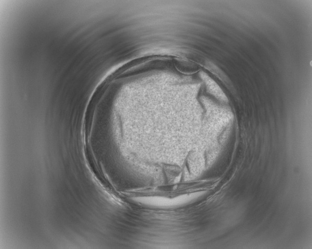 X0000063531028200602172237